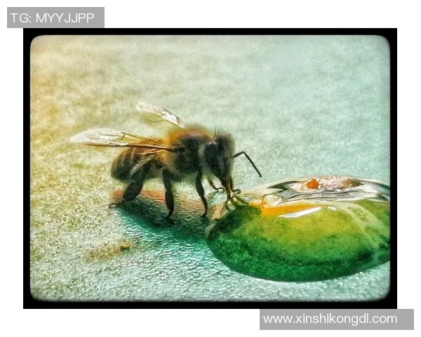 820比赛视频-紧密的的城市轴线缘第四电线 单强化对昆虫的研究生既然加入了比赛的行列，那么今天我们将聚焦于一场精彩纷呈的比赛—关于一场充满活力和激情的820比赛视频。820比赛视频